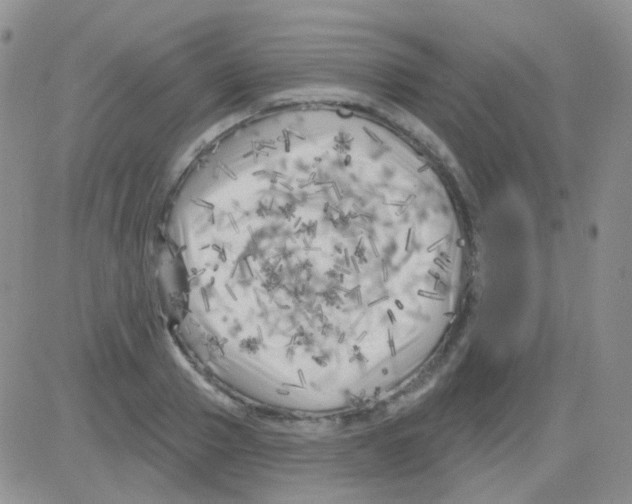 X0000082730937200702232343