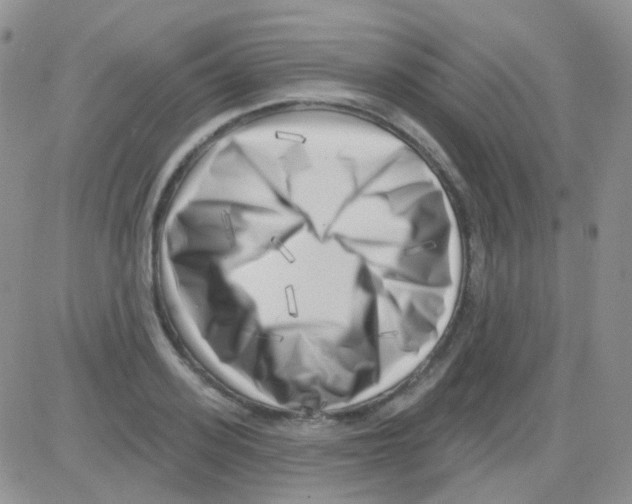 X0000082730939200702232343