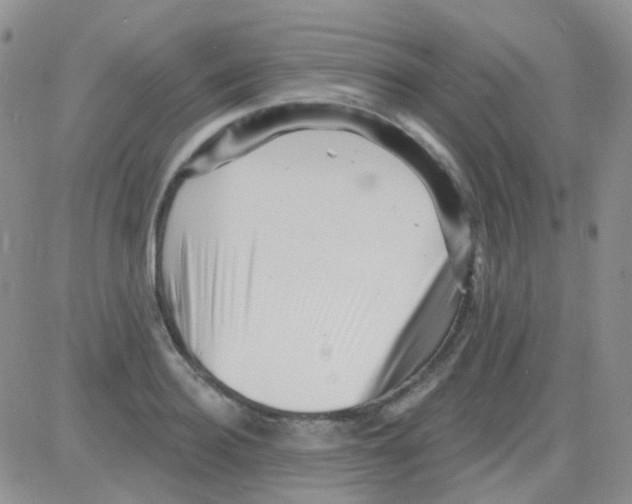 X0000082730940200702232343