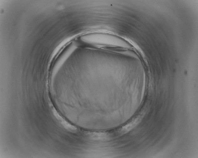 X0000082730941200702232343