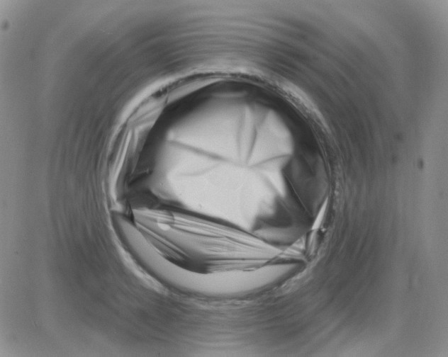 X0000082730942200702232343