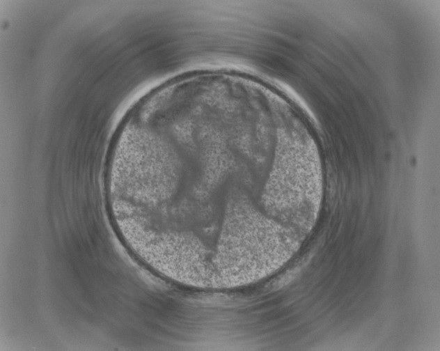 X0000082730943200702232343