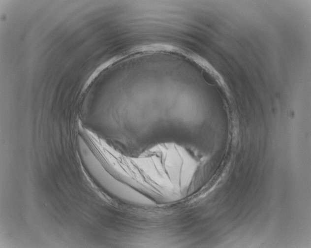 X0000082730945200702232343