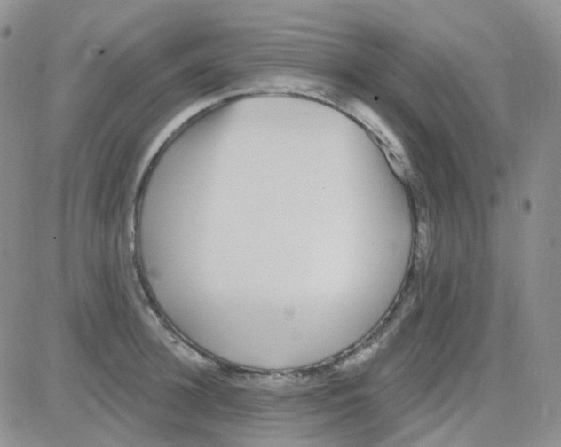 X0000082730948200702232344