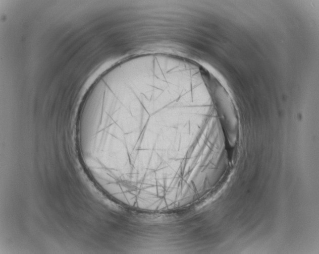 X0000082730949200702232344