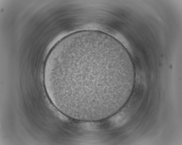 X0000082730950200702232344