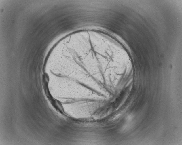 X0000082730951200702232344