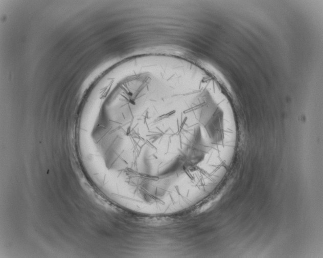 X0000082730952200702232344