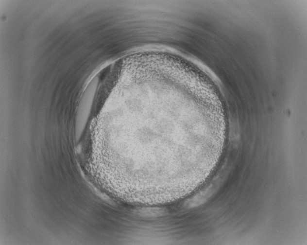 X0000082730953200702232344