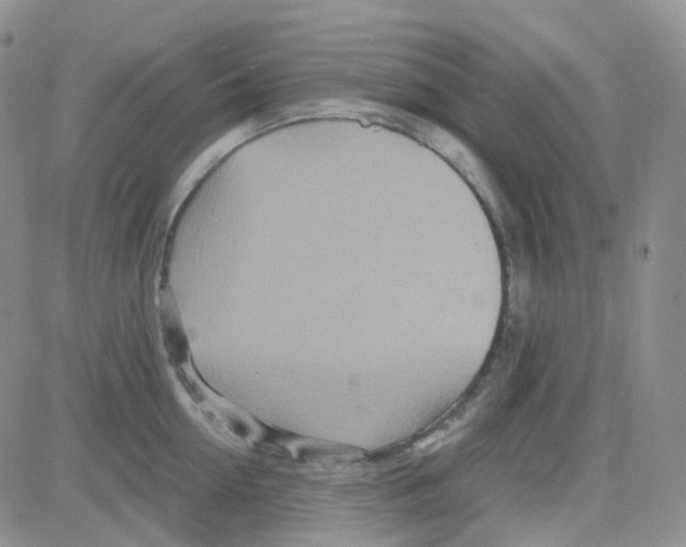 X0000082730954200702232344