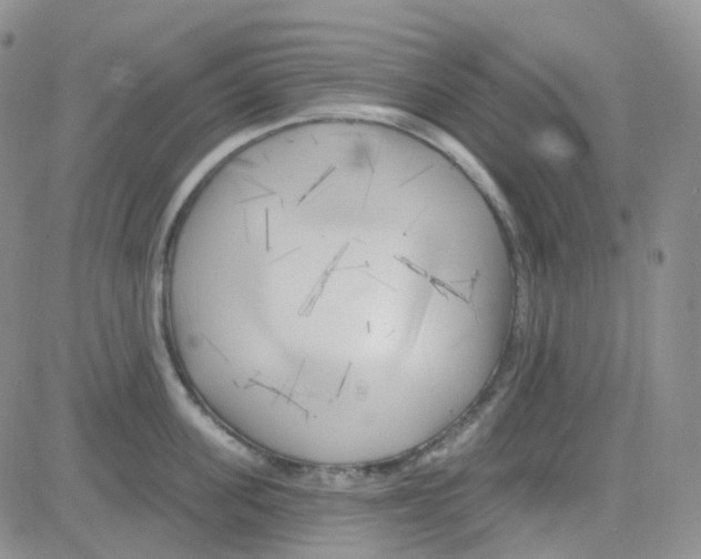 X0000082730955200702232344