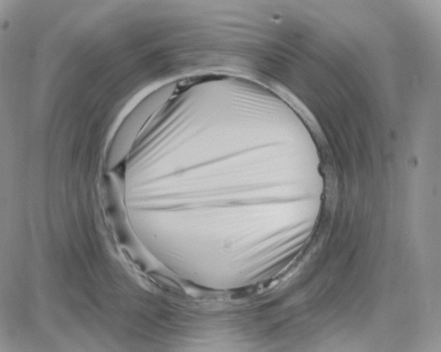 X0000082730956200702232344