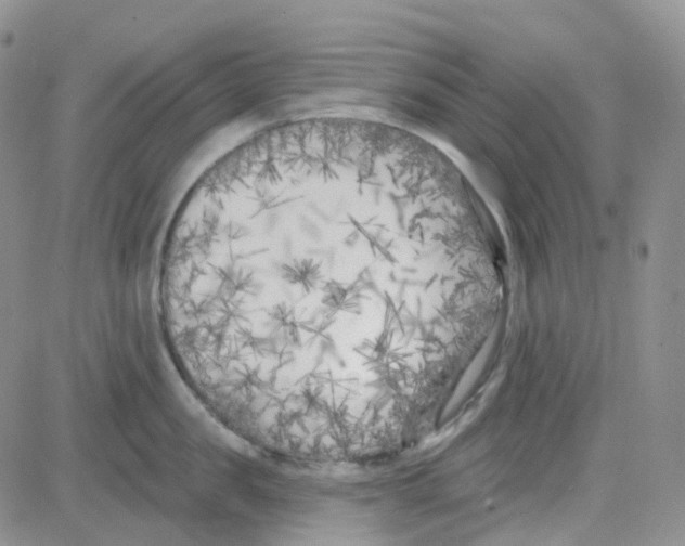 X0000082730957200702232344