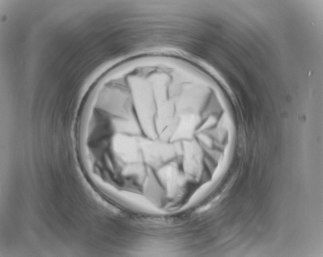 X0000082730959200702232344