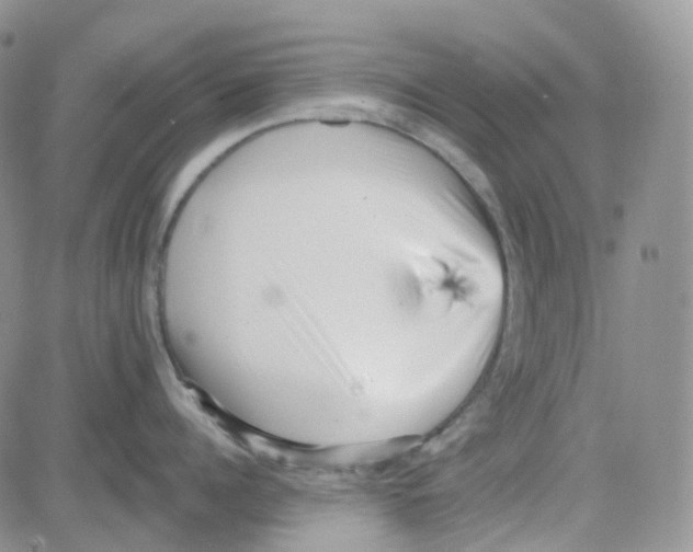 X0000082730960200702232344