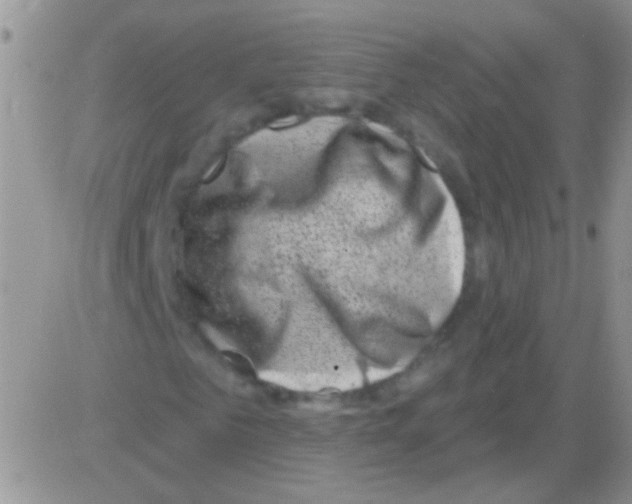 X0000082730961200702232343