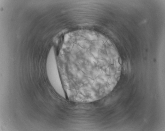 X0000082730963200702232343