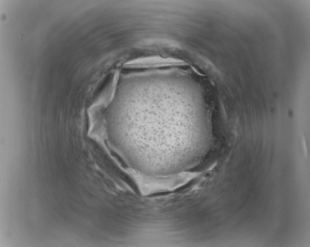 X0000082730965200702232343