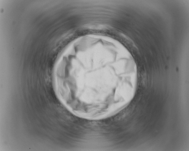 X0000082730966200702232343