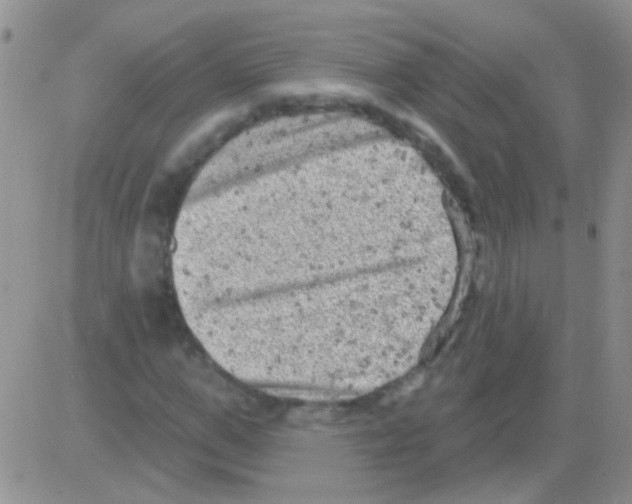 X0000082730967200702232343