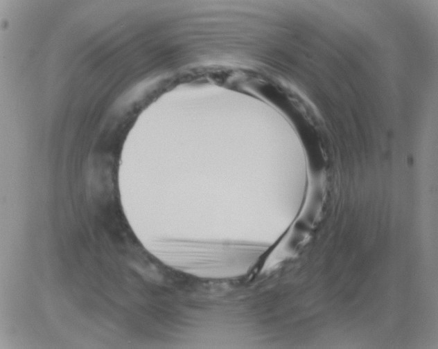 X0000082730968200702232343