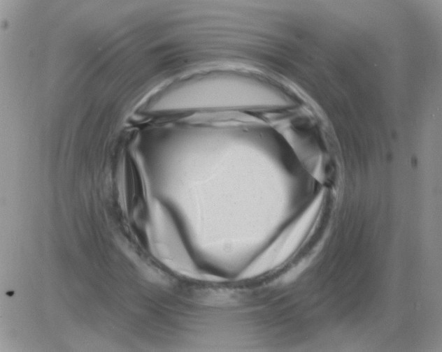 X0000082730969200702232343