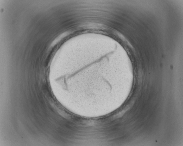 X0000082730970200702232343