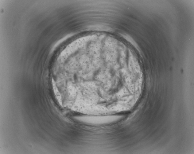 X0000082730971200702232343