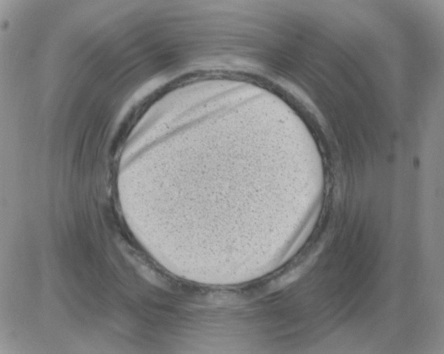 X0000082730974200702232343