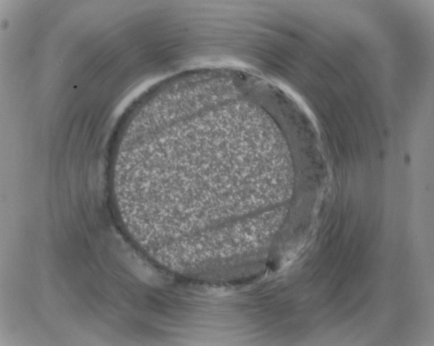 X0000082730975200702232343