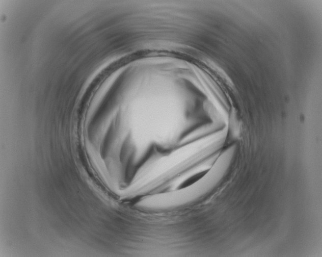 X0000082730976200702232343