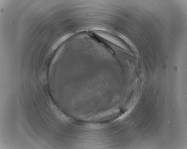 X0000082730977200702232343