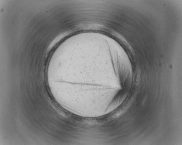 X0000082730978200702232343