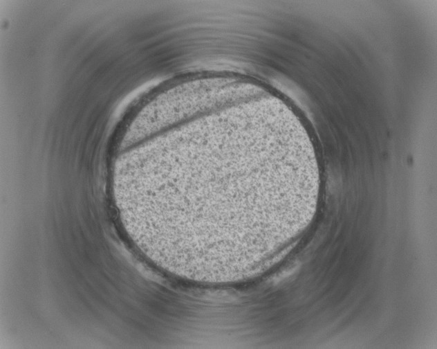 X0000082730979200702232343