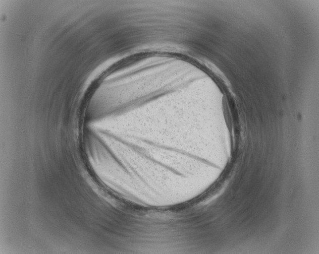 X0000082730981200702232343