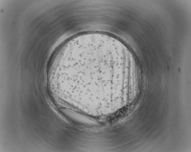 X0000082730982200702232343