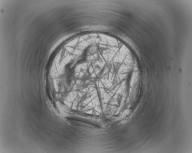 X0000082730983200702232343