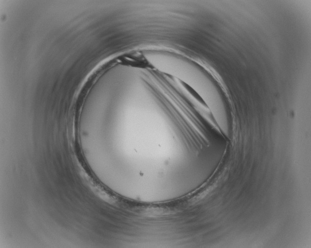 X0000082730984200702232343