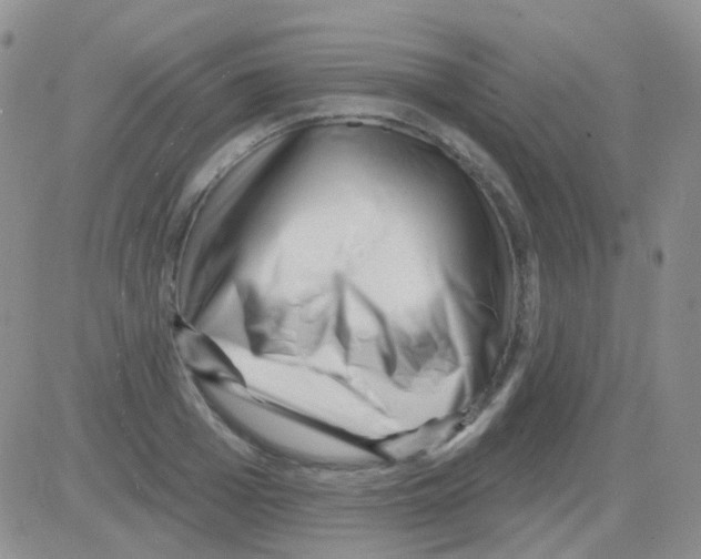 X0000082730985200702232343