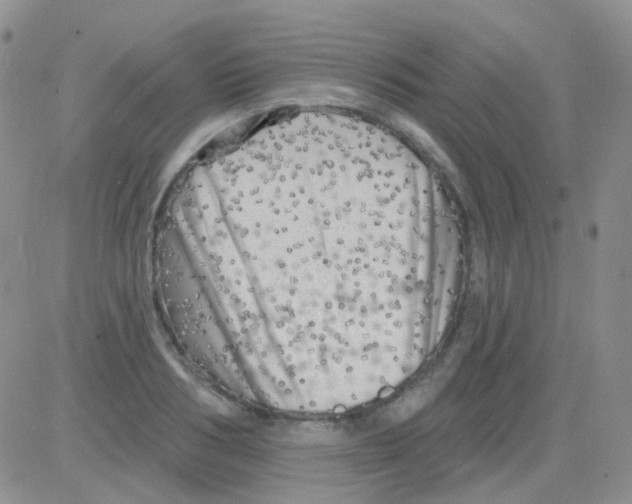 X0000082730986200702232343