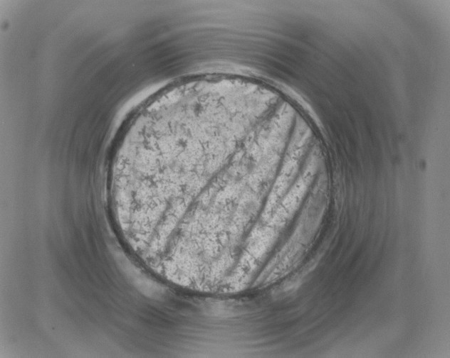 X0000082730987200702232342