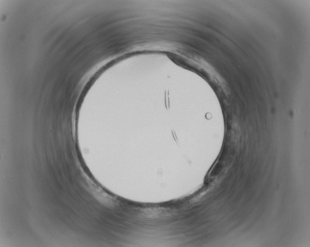 X0000082730988200702232342