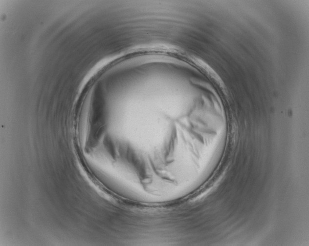 X0000082730989200702232342