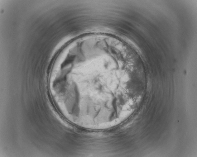 X0000082730990200702232342