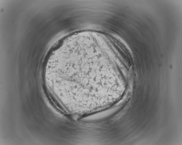 X0000082730991200702232342