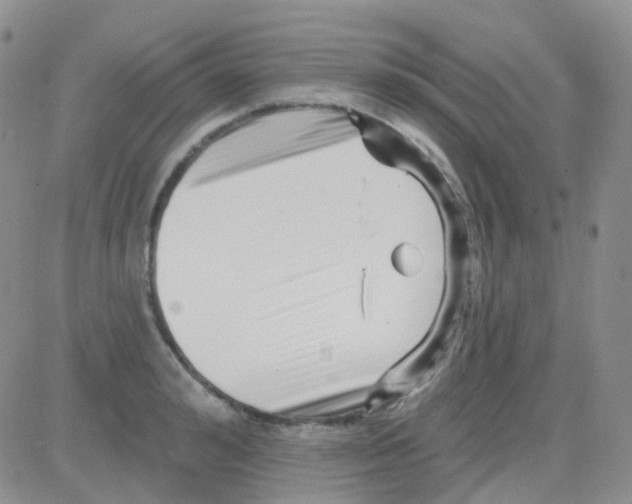 X0000082730992200702232342