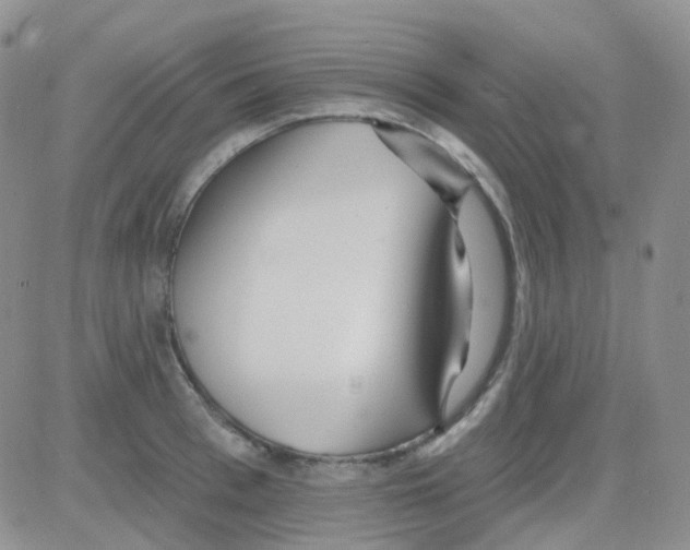 X0000082730993200702232342