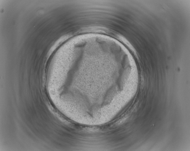 X0000082730994200702232342