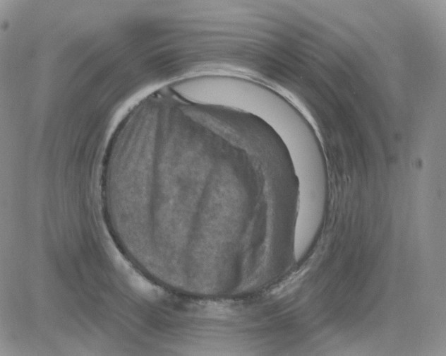 X0000082730995200702232342