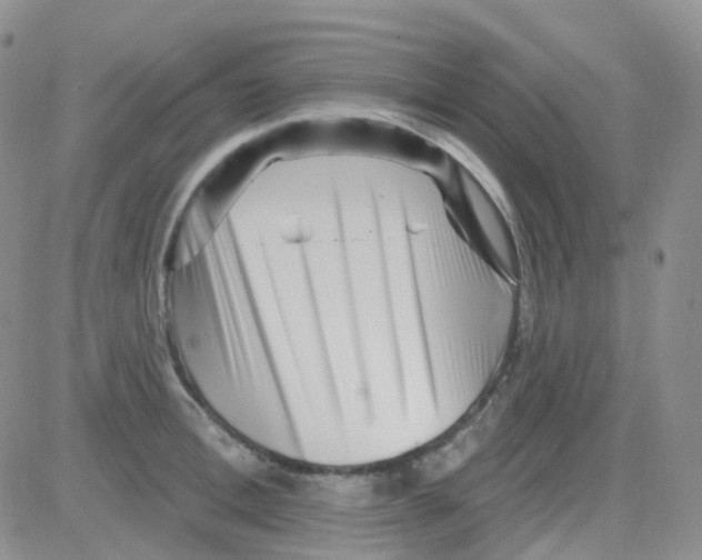 X0000082730996200702232342